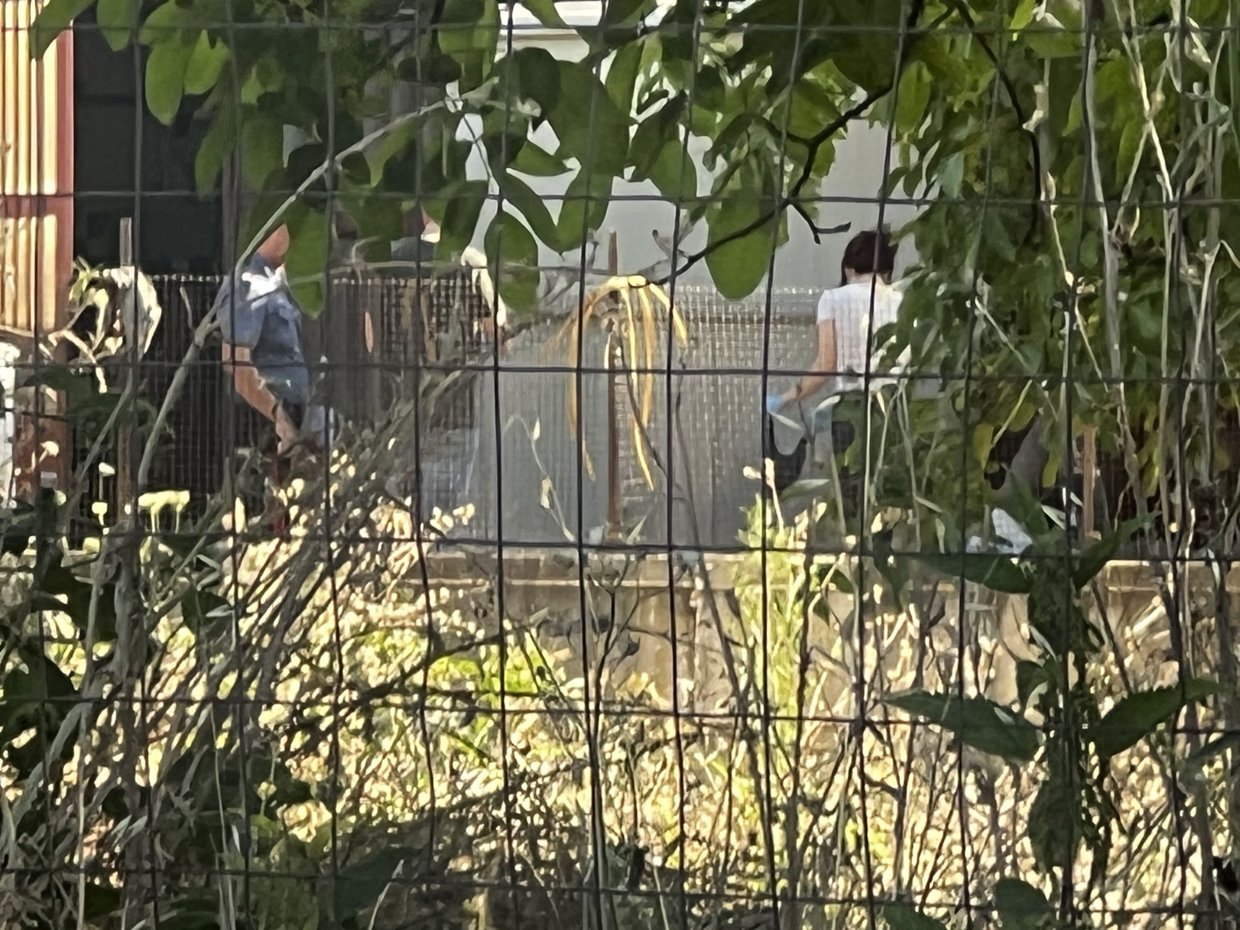 Choc ad Avella: muore un operaio in fabbrica, indagini in corso Choc ad Avella: muore un operaio in fabbrica, indagini in corso