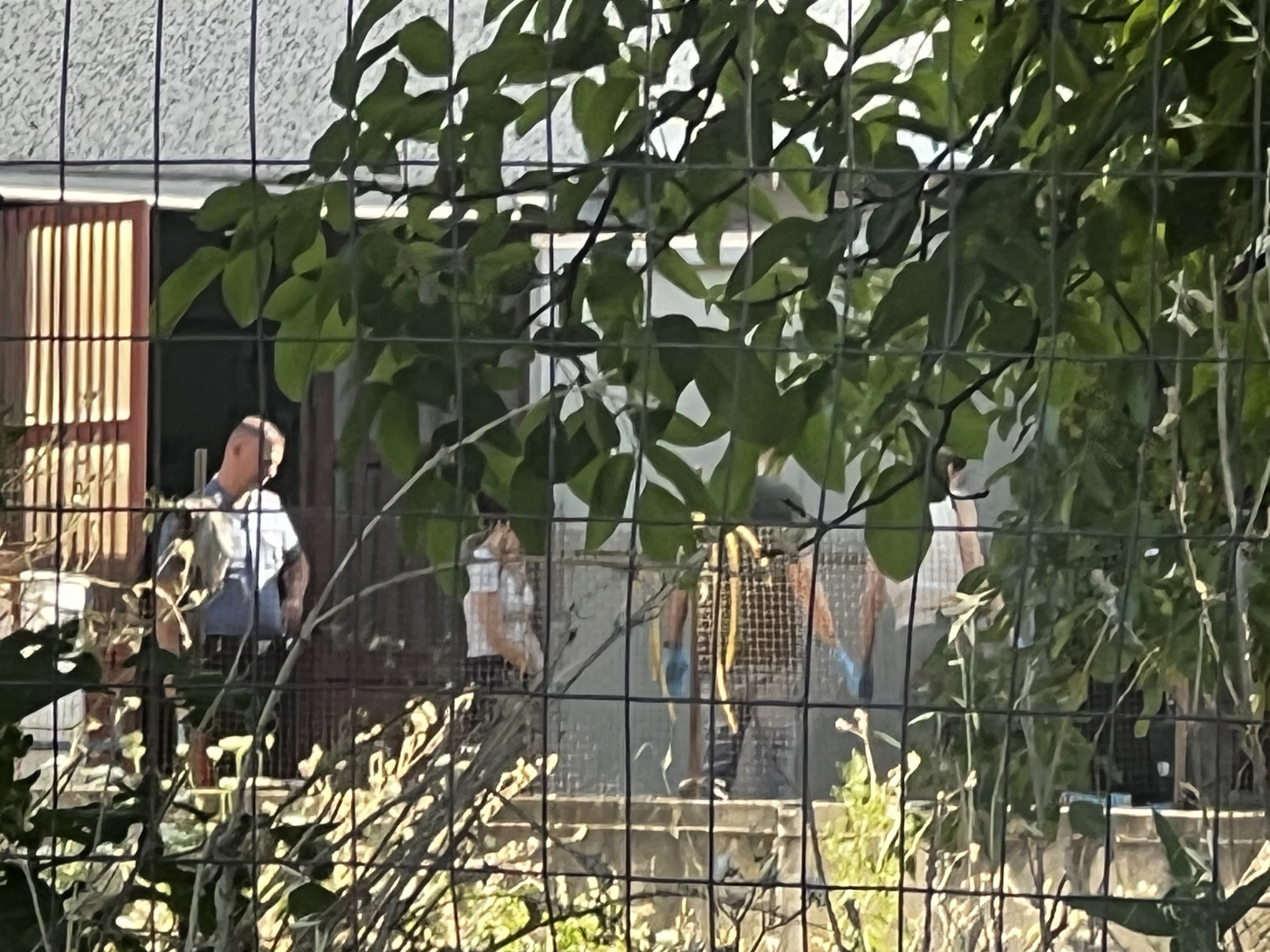 Tragedia in un’azienda agricola: 35enne si toglie la vita impiccandosi