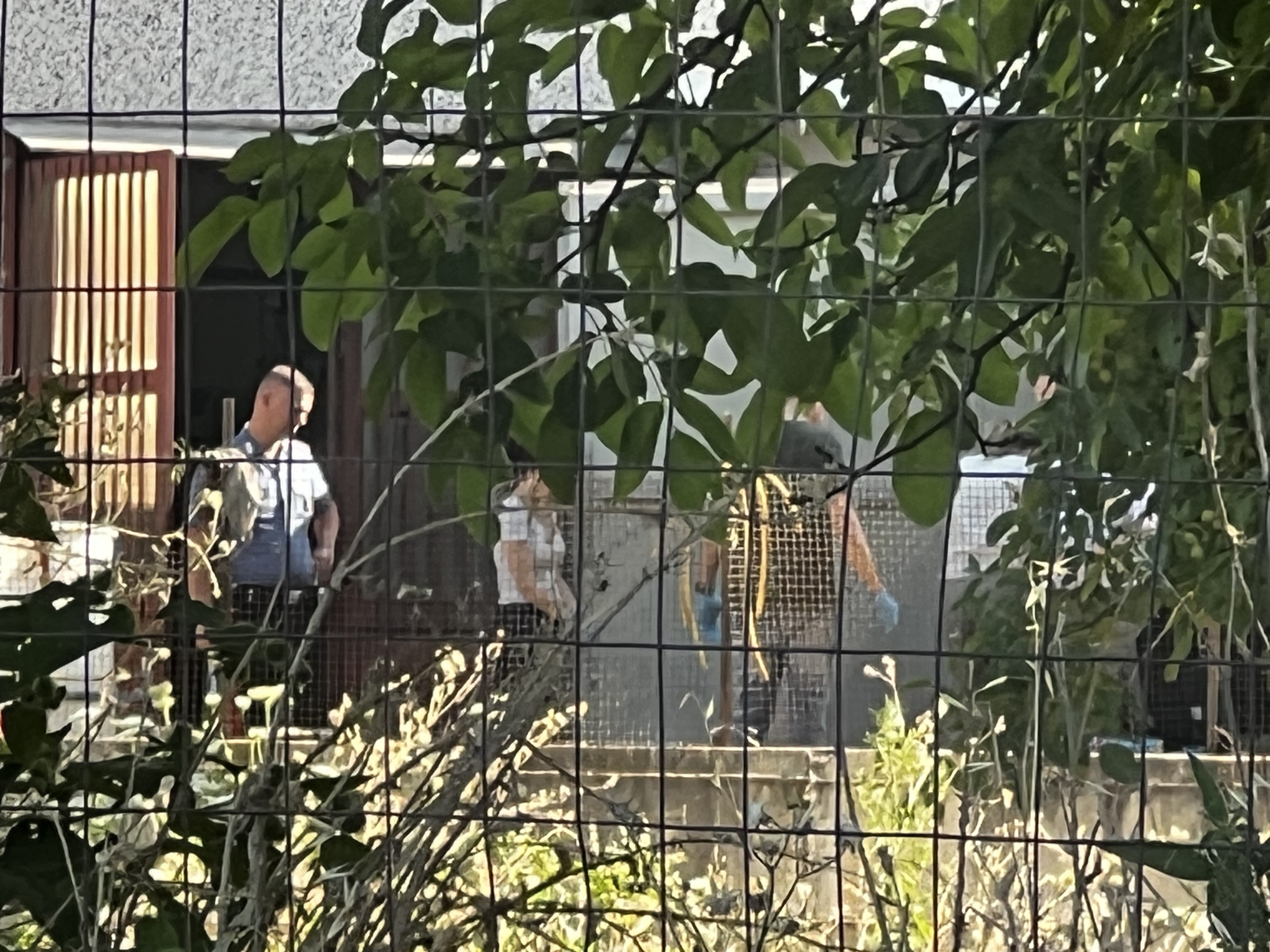 Tragedia in un’azienda agricola: 35enne si toglie la vita impiccandosi