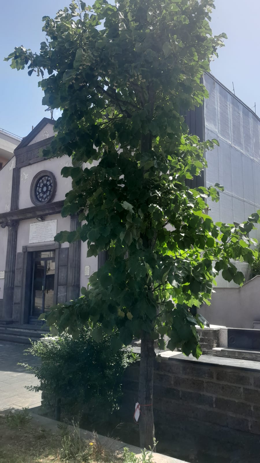 Mugnano del Cardinale: Piazzetta San Giacomo, Bianco replica: Collaborazione vera tra cittadini e Comune. Meriti condivisi, non dimenticanze