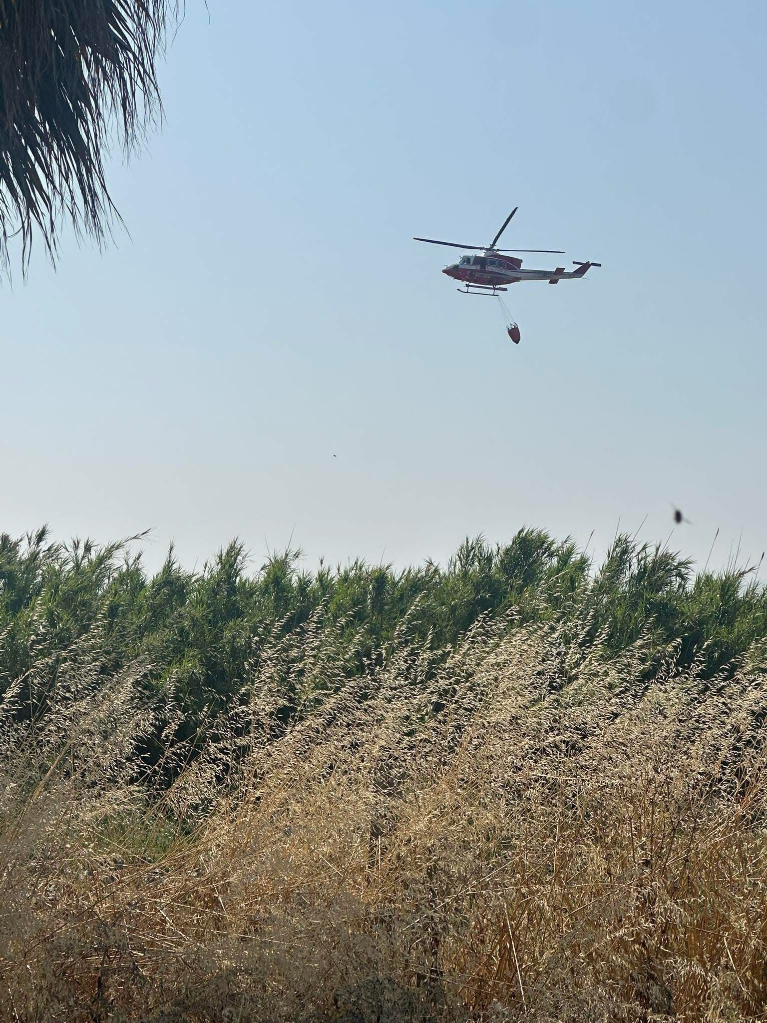 Cellole, incendio minaccia le abitazioni: fiamme domate grazie all’intervento eroico delle forze dell’ordine e della Protezione Civile.(foto)
