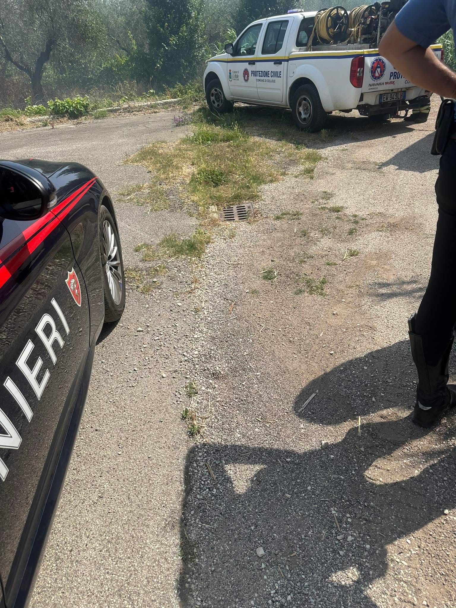 Cellole, incendio minaccia le abitazioni: fiamme domate grazie all’intervento eroico delle forze dell’ordine e della Protezione Civile.(foto)