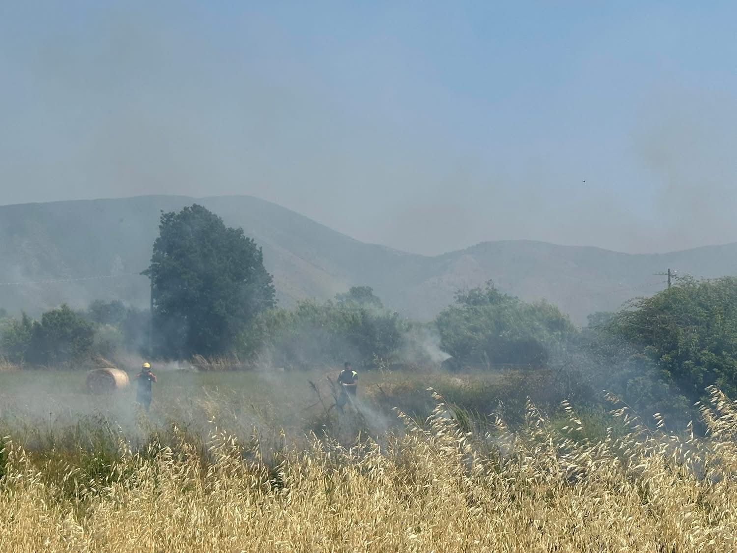 Cellole, incendio minaccia le abitazioni: fiamme domate grazie all’intervento eroico delle forze dell’ordine e della Protezione Civile.(foto)