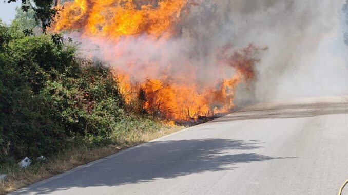 Immagine WhatsApp 2025-06-12 ore 15.14.09_15deb095