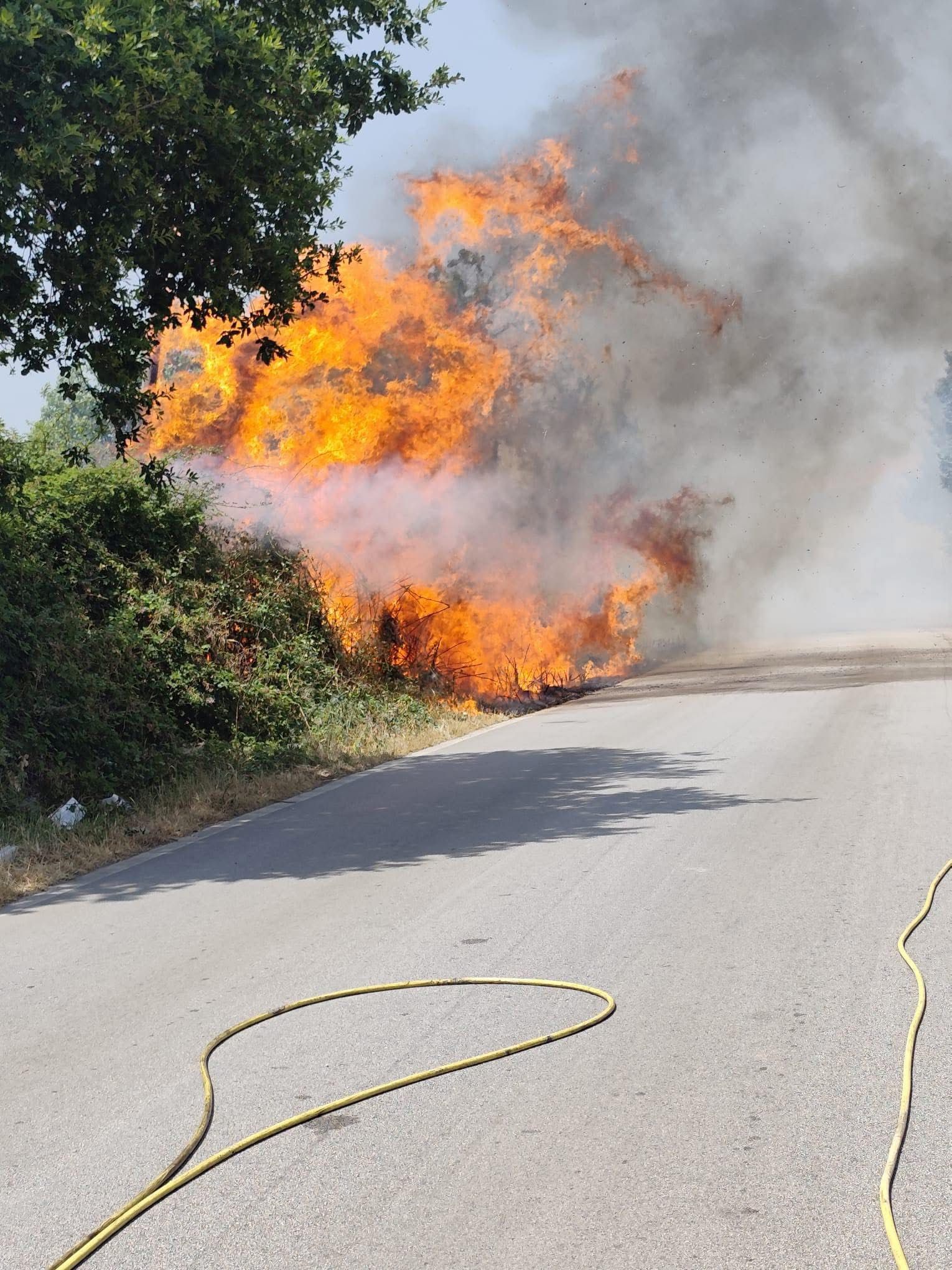 Cellole, incendio minaccia le abitazioni: fiamme domate grazie all’intervento eroico delle forze dell’ordine e della Protezione Civile.(foto)