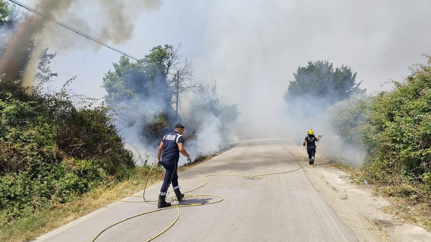 Cellole, incendio minaccia le abitazioni: fiamme domate grazie all’intervento eroico delle forze dell’ordine e della Protezione Civile.(foto)