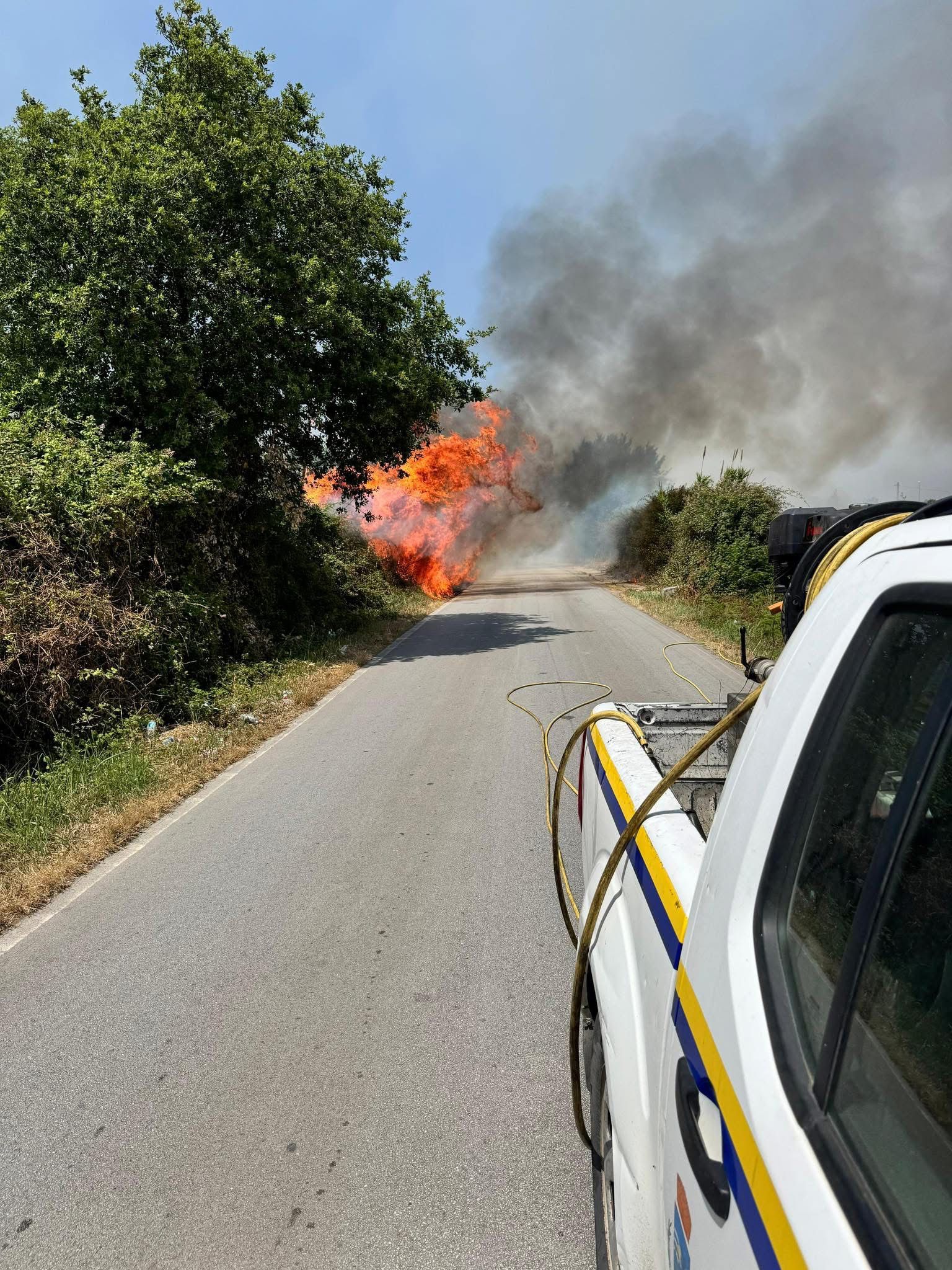 Cellole, incendio minaccia le abitazioni: fiamme domate grazie all’intervento eroico delle forze dell’ordine e della Protezione Civile.(foto)