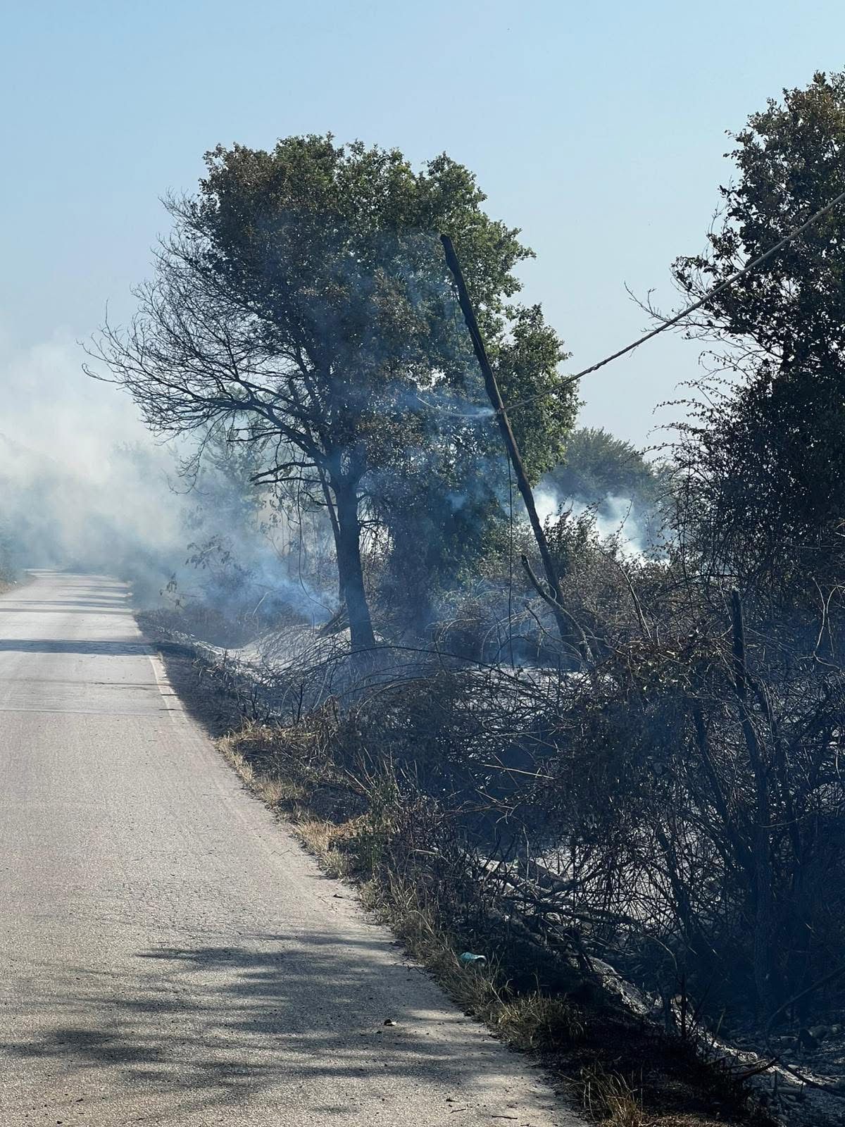 Cellole, incendio minaccia le abitazioni: fiamme domate grazie all’intervento eroico delle forze dell’ordine e della Protezione Civile.(foto) Cellole, incendio minaccia le abitazioni: fiamme domate grazie all’intervento eroico delle forze dell’ordine e della Protezione Civile.(foto)