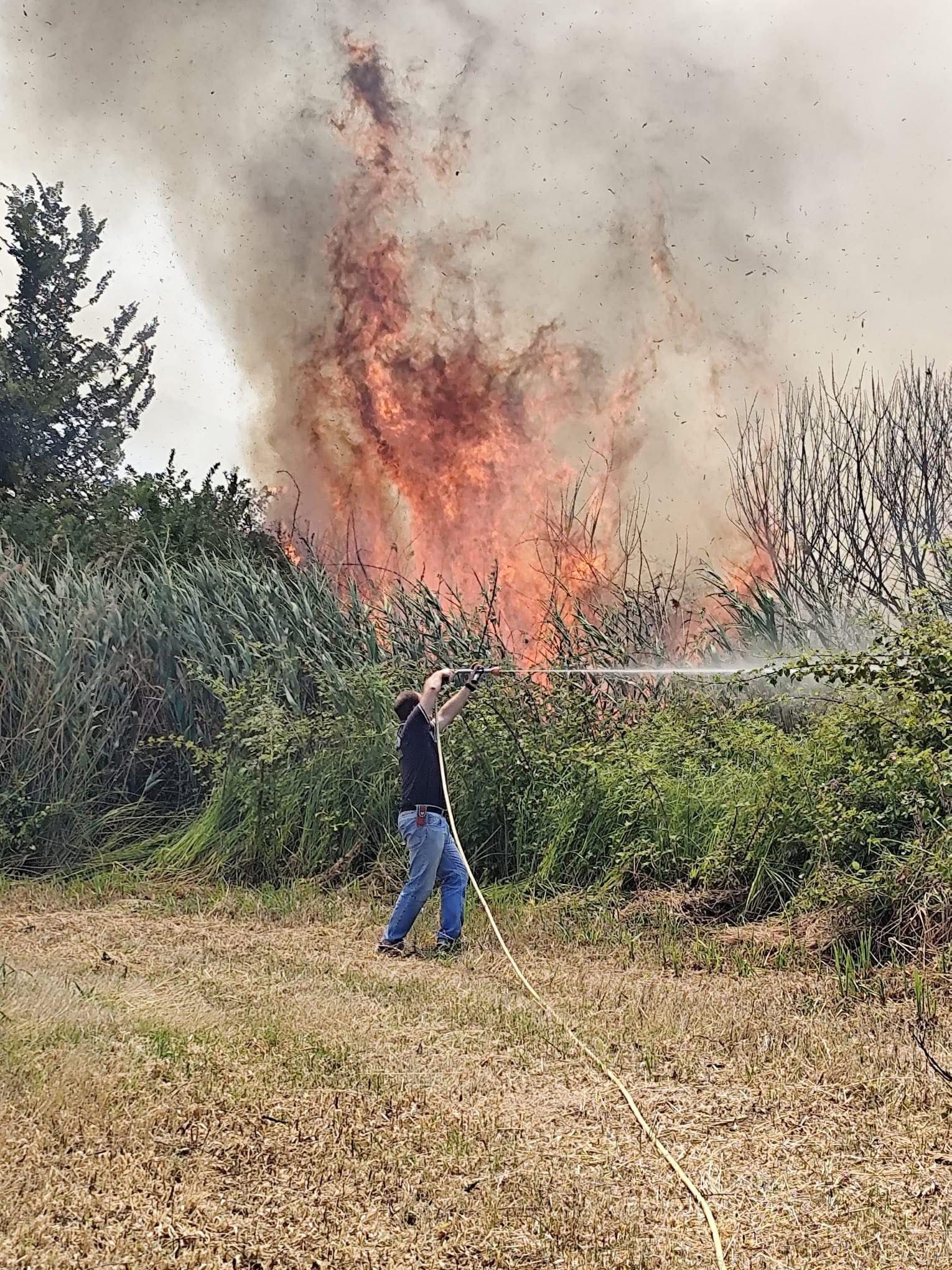 Cellole, incendio minaccia le abitazioni: fiamme domate grazie all’intervento eroico delle forze dell’ordine e della Protezione Civile.(foto)