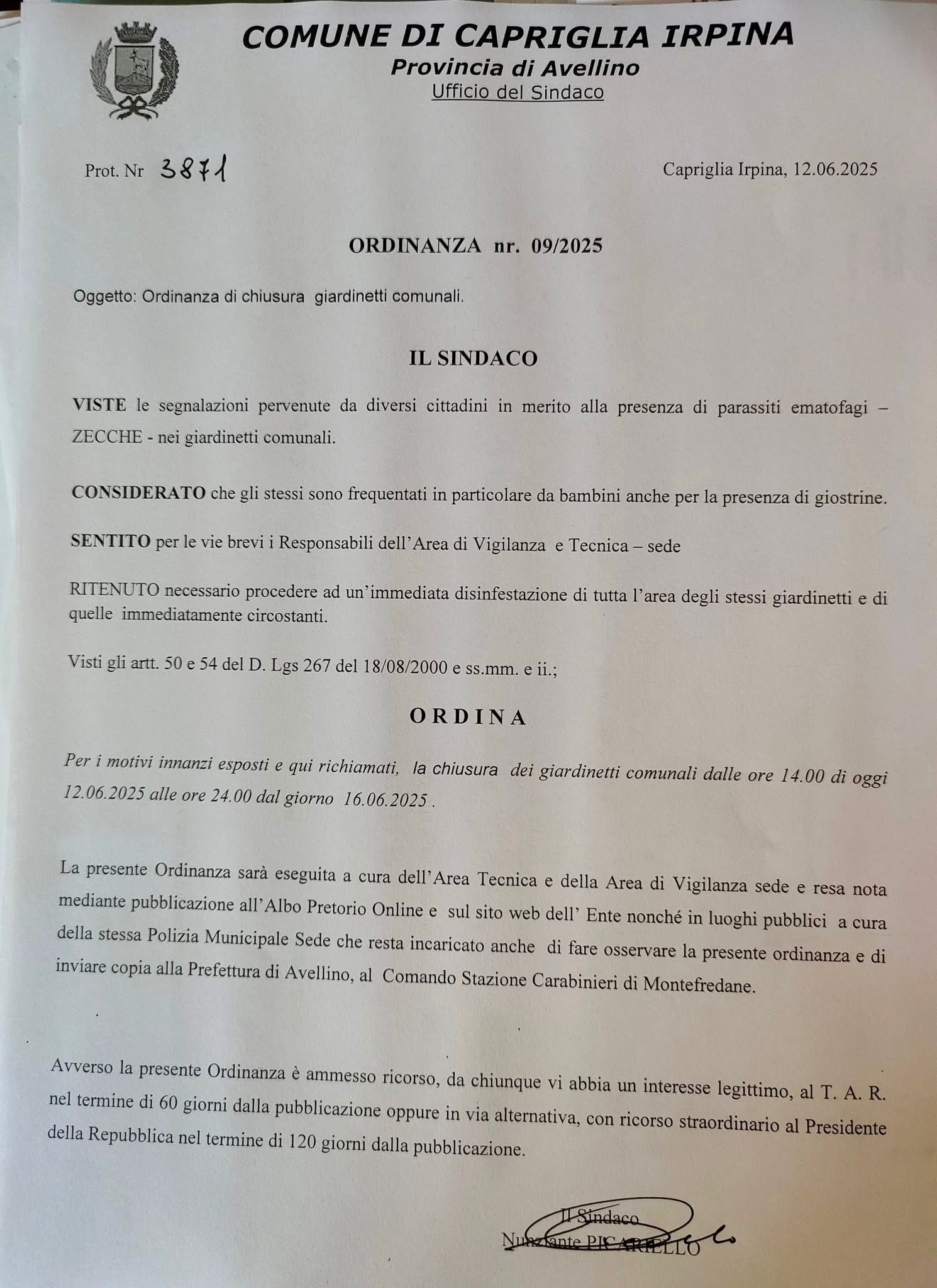 Capriglia Irpina, giardinetti comunali chiusi per disinfestazione: allarme zecche segnalato dai cittadini