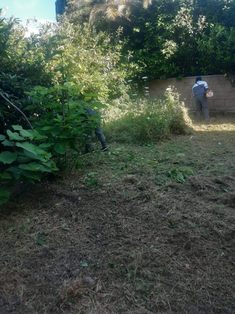 Verde pubblico a Mugnano: grazie alla Comunità Montana per l’impegno sul territorio(foto)