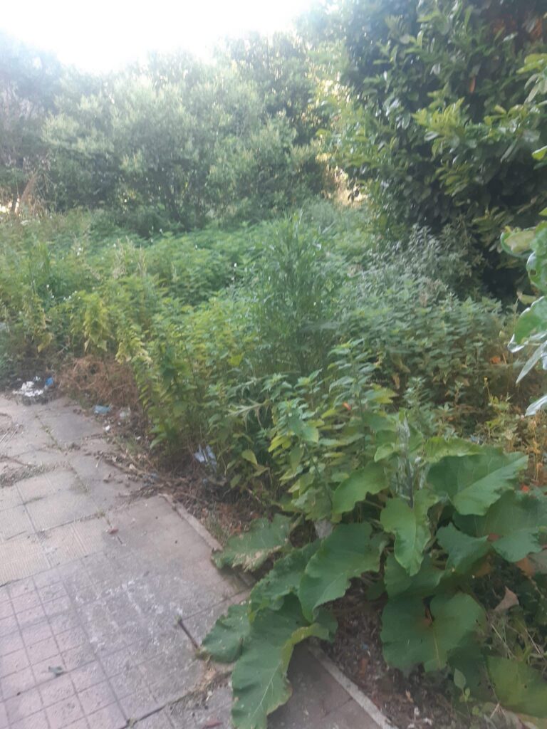 Verde pubblico a Mugnano: grazie alla Comunità Montana per l’impegno sul territorio(foto)