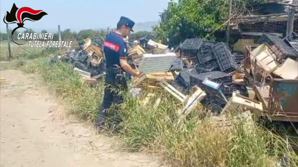 Brusciano, scoperta discarica abusiva in un orto: sotto terra anche la carcassa di un cavallo