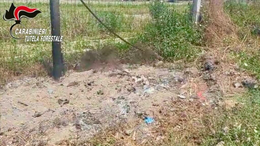 Brusciano, scoperta discarica abusiva in un orto: sotto terra anche la carcassa di un cavallo Brusciano, scoperta discarica abusiva in un orto: sotto terra anche la carcassa di un cavallo