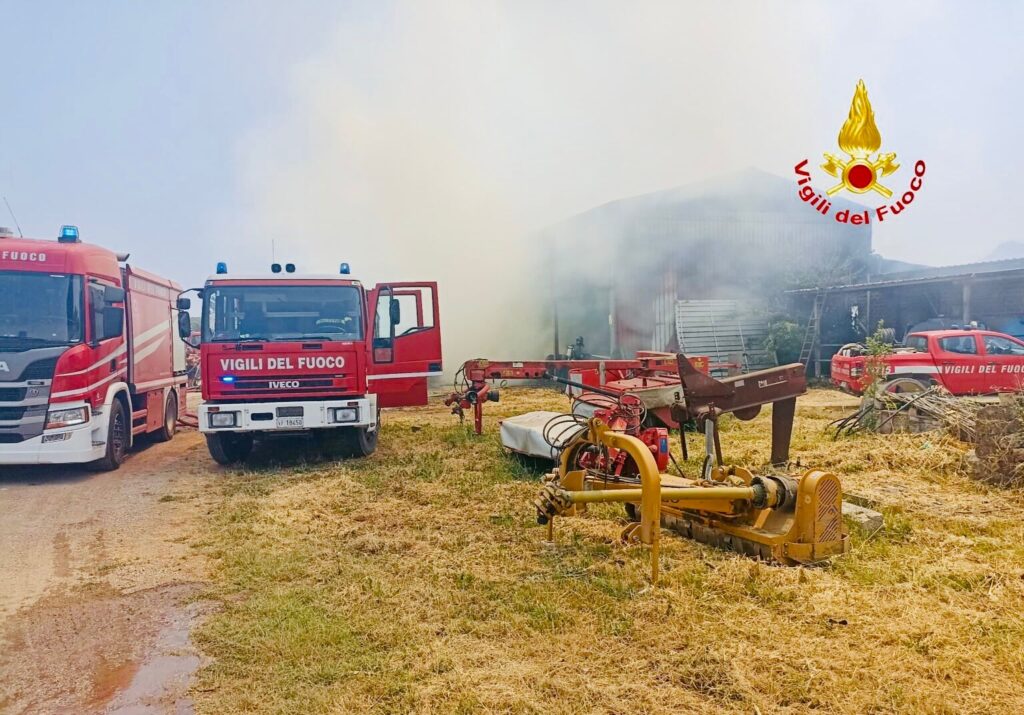 Incendio di vasta portata in un capannone agricolo nel Casertano: dramma sfiorato, salve 800 bufale