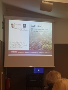 Baiano: DI VINI BORGHI DIRPINIA nasce il progetto di Carmine Pagano