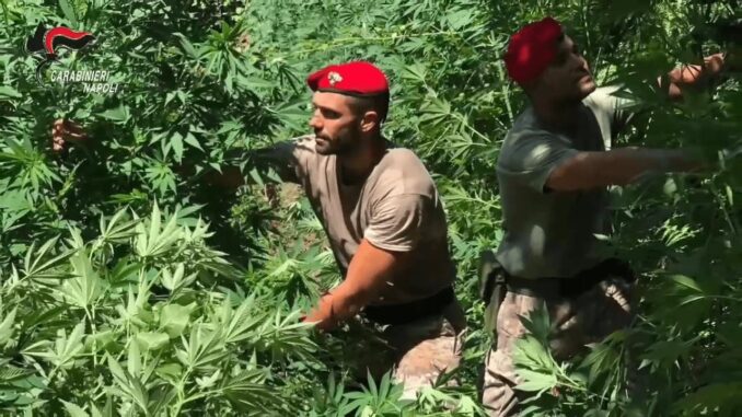 Immagine WhatsApp 2025-06-17 ore 20.00.57_17f2aba0