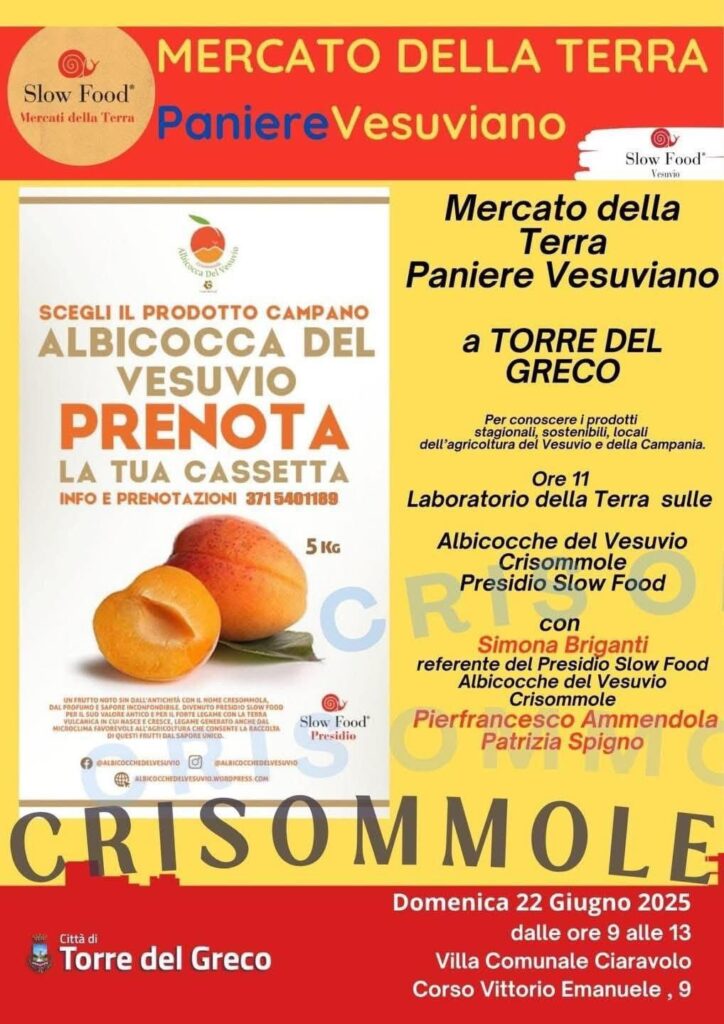 Torre del Greco, domenica 22 giugno torna il Mercato della Terra: protagoniste le crisommole del Vesuvio