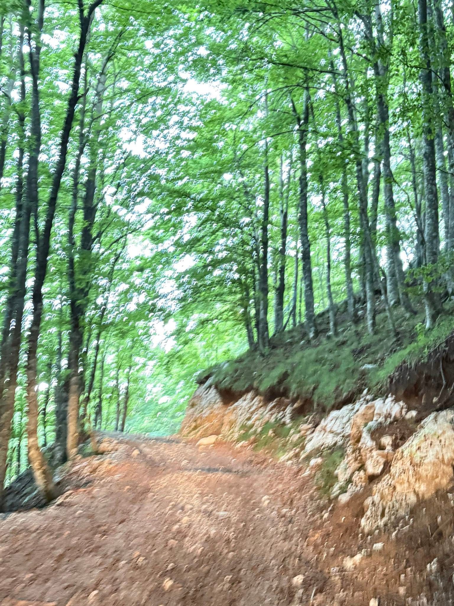 Volturara Irpina celebra la Vetta del Terminio e inaugura il Rifugio “Acqua degli Uccelli”(foto)