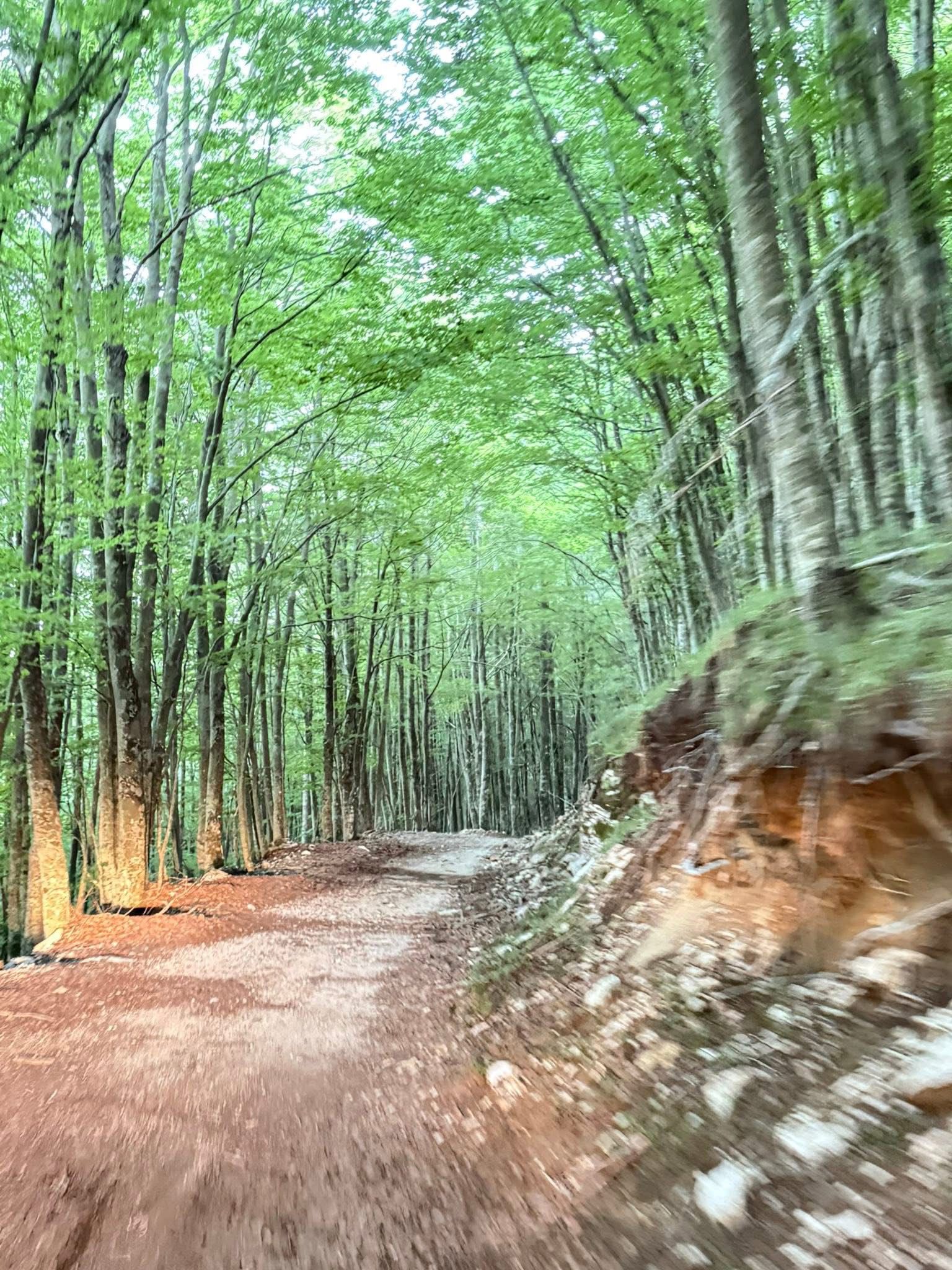 Volturara Irpina celebra la Vetta del Terminio e inaugura il Rifugio “Acqua degli Uccelli”(foto)