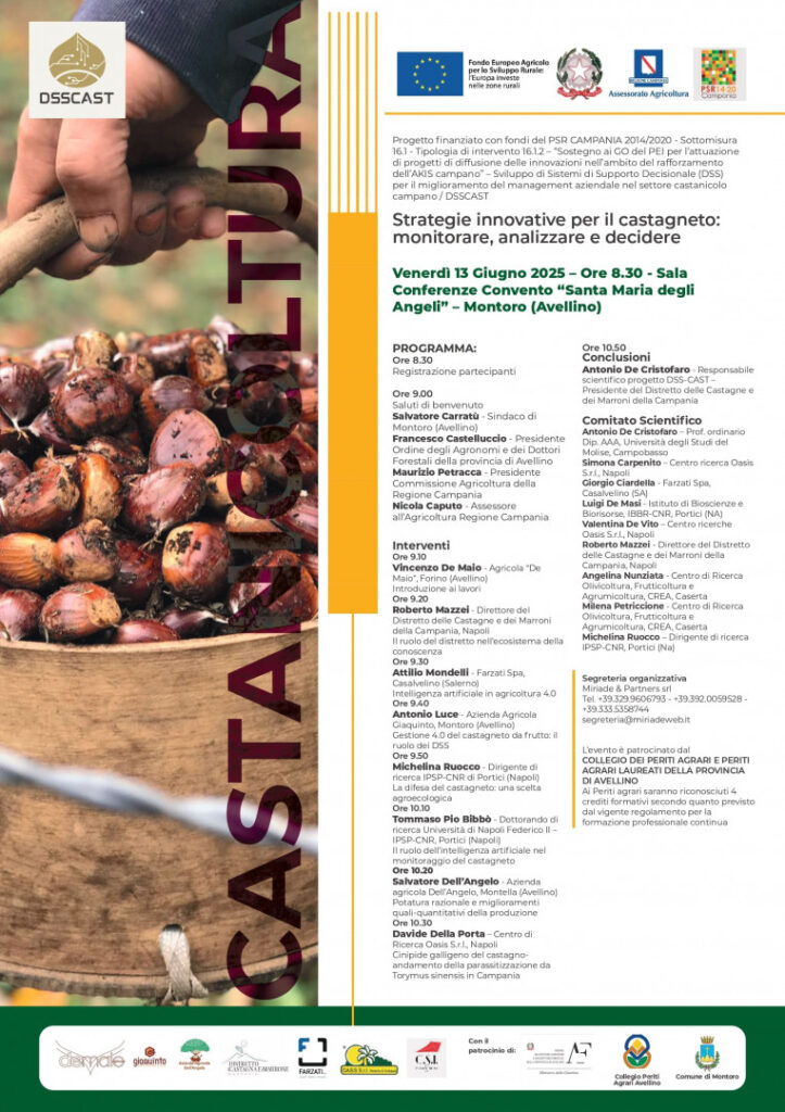 Montoro (AV) – Il futuro del castagneto campano al centro dell’evento DSSCAST del 13 giugno