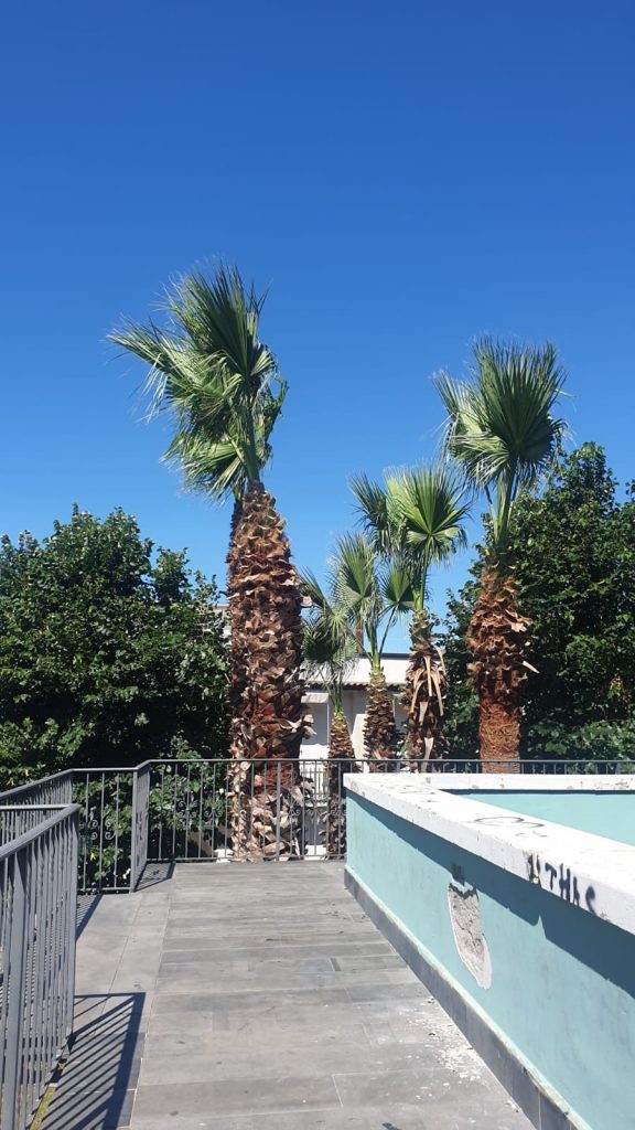 Centro storico di Baiano: rinascita della Villetta tra natura, architettura e rispetto.