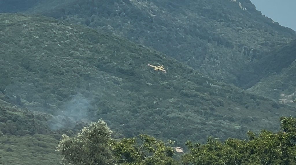 Incendio sui monti del Baianese: fiamme a Mugnano del Cardinale, in azione anche un Canadair