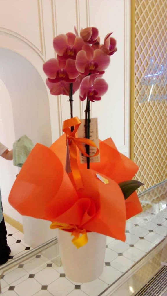 Buon compleanno, Annamaria: esempio di forza, dedizione e umanità autentica