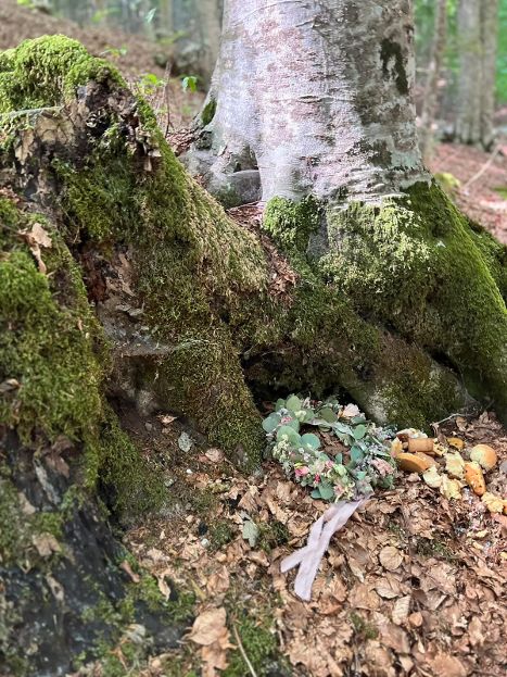 Torna il Festival “Letture dal Bosco”, terza edizione il 20 luglio al Lago Laceno