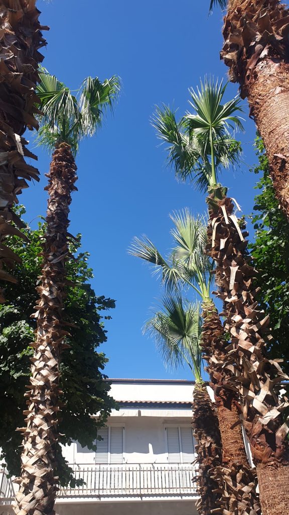 Centro storico di Baiano: rinascita della Villetta tra natura, architettura e rispetto.