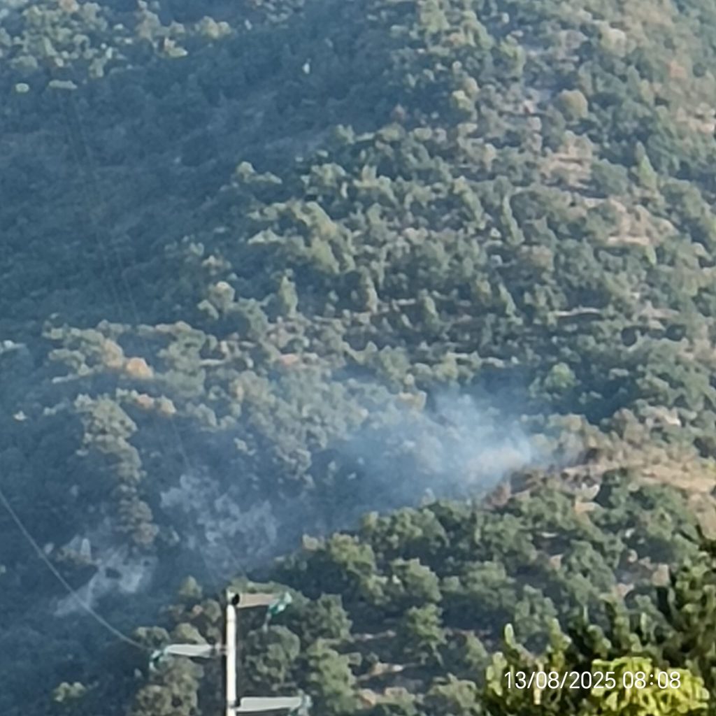 Principio di incendio questa mattina sui Monti Avellani, in località Cerreto.
