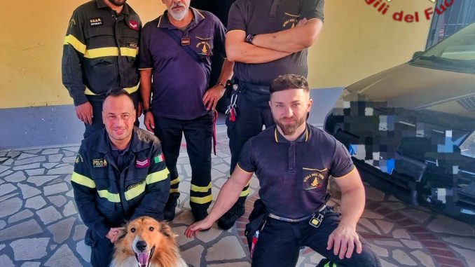 7c0d23d1-98b1-4f93-8b09-e6ade28930da