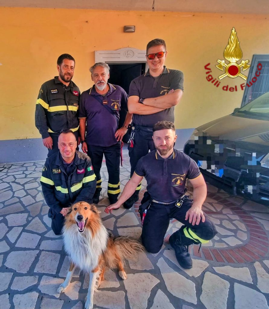 Gesualdo, cane incastrato tra le inferriate: salvato dai Vigili del Fuoco all’alba Gesualdo, cane incastrato tra le inferriate: salvato dai Vigili del Fuoco all’alba