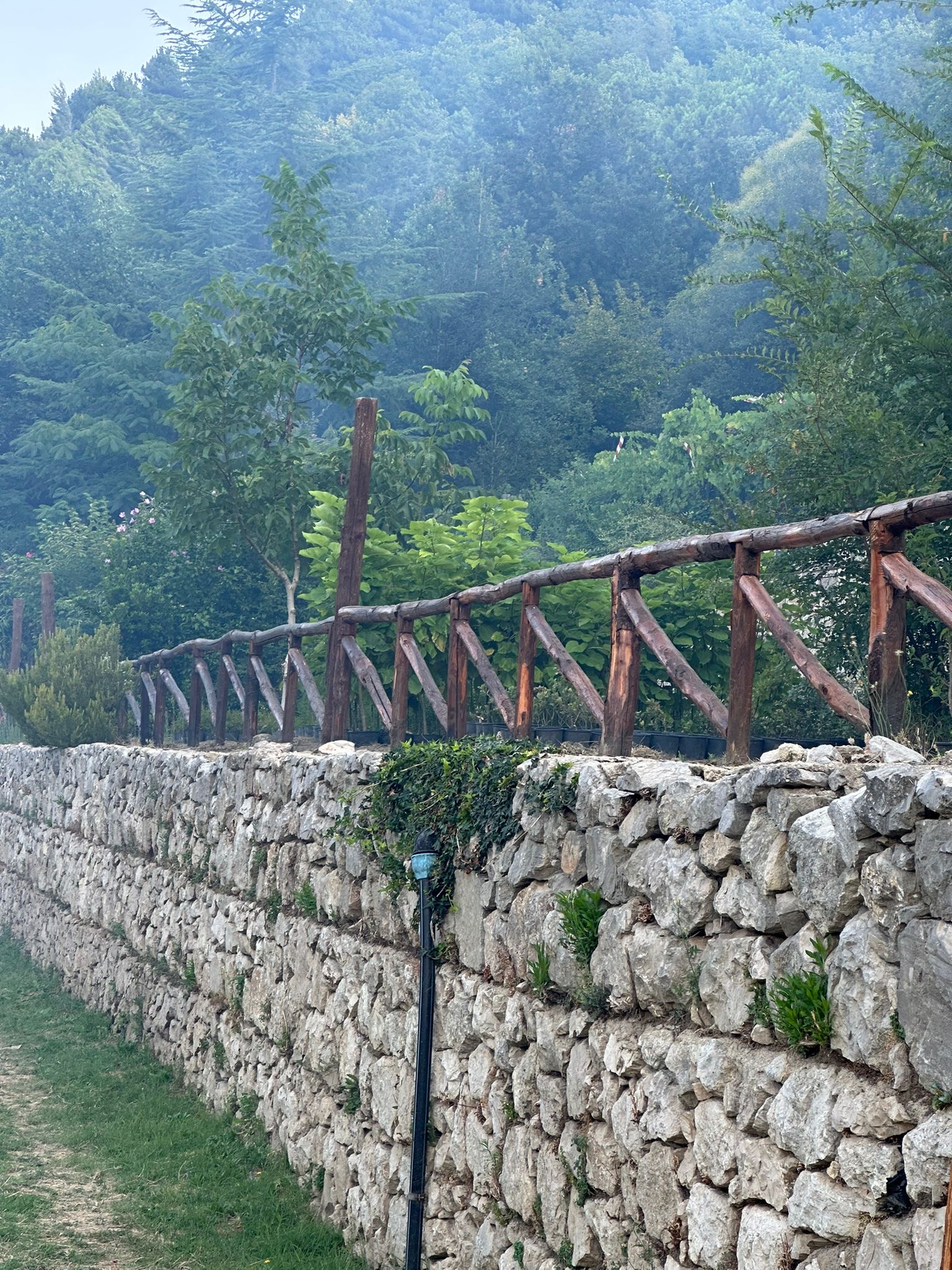 Roccarainola, mobilitazione dei giovani per salvare il vivaio e fermare le fiamme. Foto
