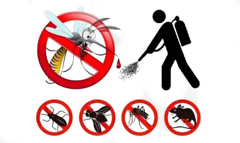 Camposano, disinfestazione straordinaria questa sera dalle 22:00