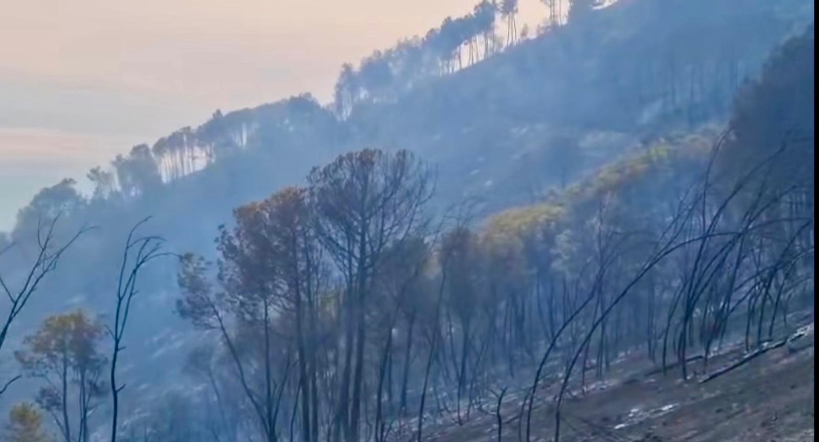 Ottaviano, intervento straordinario sul Vesuvio: esercito e istituzioni in campo per contenere l’incendio.(foto)