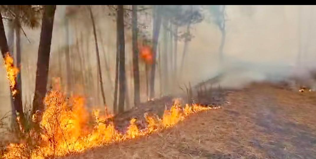 Ottaviano, intervento straordinario sul Vesuvio: esercito e istituzioni in campo per contenere l’incendio.(foto)