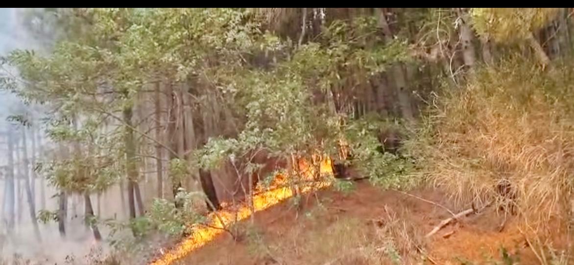 Ottaviano, intervento straordinario sul Vesuvio: esercito e istituzioni in campo per contenere l’incendio.(foto)