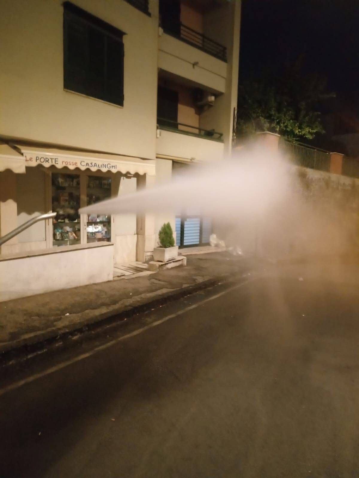 Sant’Anastasia, il sindaco Esposito: “Interventi di disinfestazione e deblattizzazione in corso”