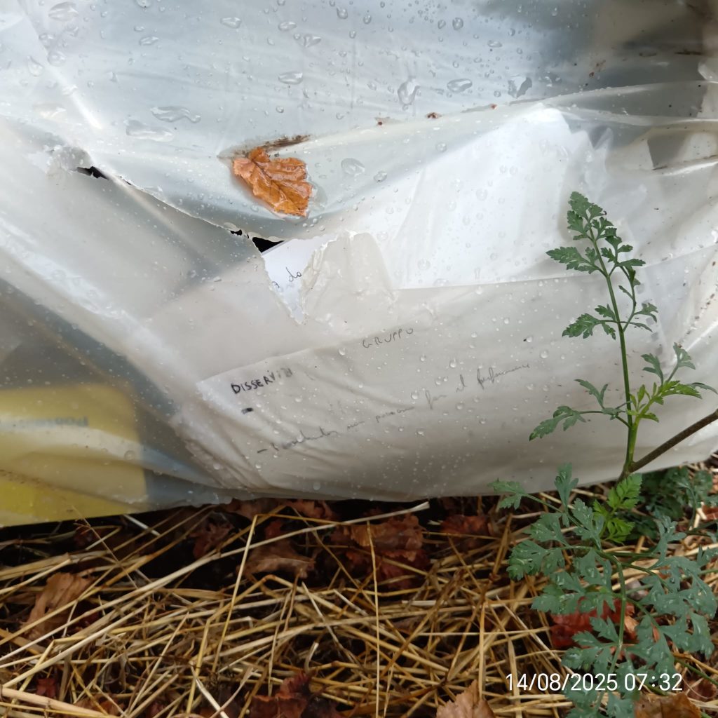 Avella, emergenza rifiuti: sequestri quotidiani ma il fenomeno non si ferma