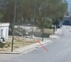 ROCCARAINOLA. Resoconto finale dell’incendio tra Costa Grande e Monte Fellino