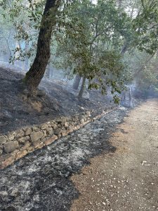 ROCCARAINOLA. Resoconto finale dell’incendio tra Costa Grande e Monte Fellino