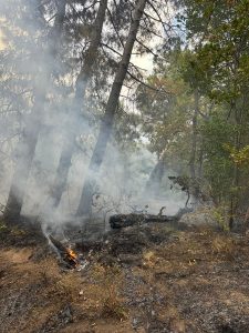 ROCCARAINOLA. Resoconto finale dell’incendio tra Costa Grande e Monte Fellino