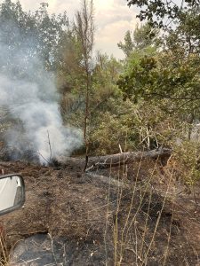 ROCCARAINOLA. Resoconto finale dell’incendio tra Costa Grande e Monte Fellino