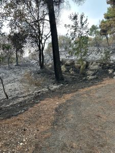 ROCCARAINOLA. Resoconto finale dell’incendio tra Costa Grande e Monte Fellino