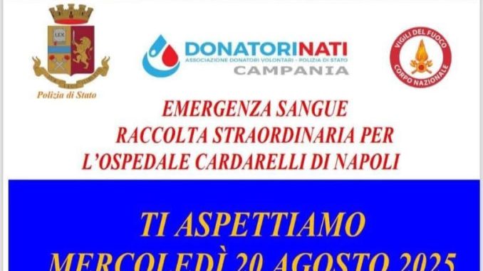 Immagine WhatsApp 2025-08-18 ore 09.39.41_045f3704