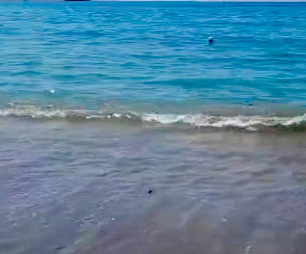 “Allarme a Salerno: ratti tra i bagnanti, mare trasformato in fogna”