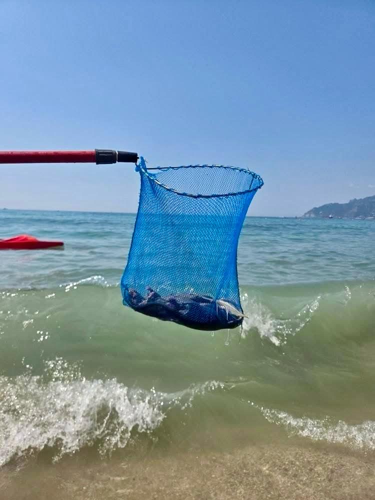 “Allarme a Salerno: ratti tra i bagnanti, mare trasformato in fogna”