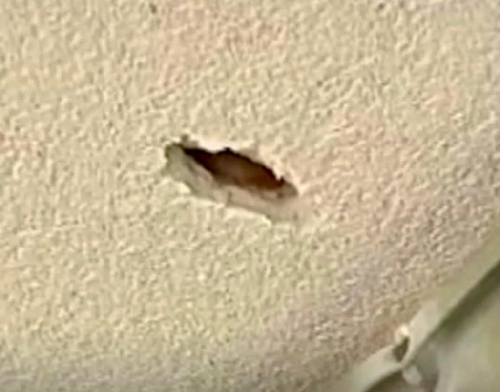 Napoli, colpi d’arma da fuoco a Montesanto: un proiettile centra un appartamento