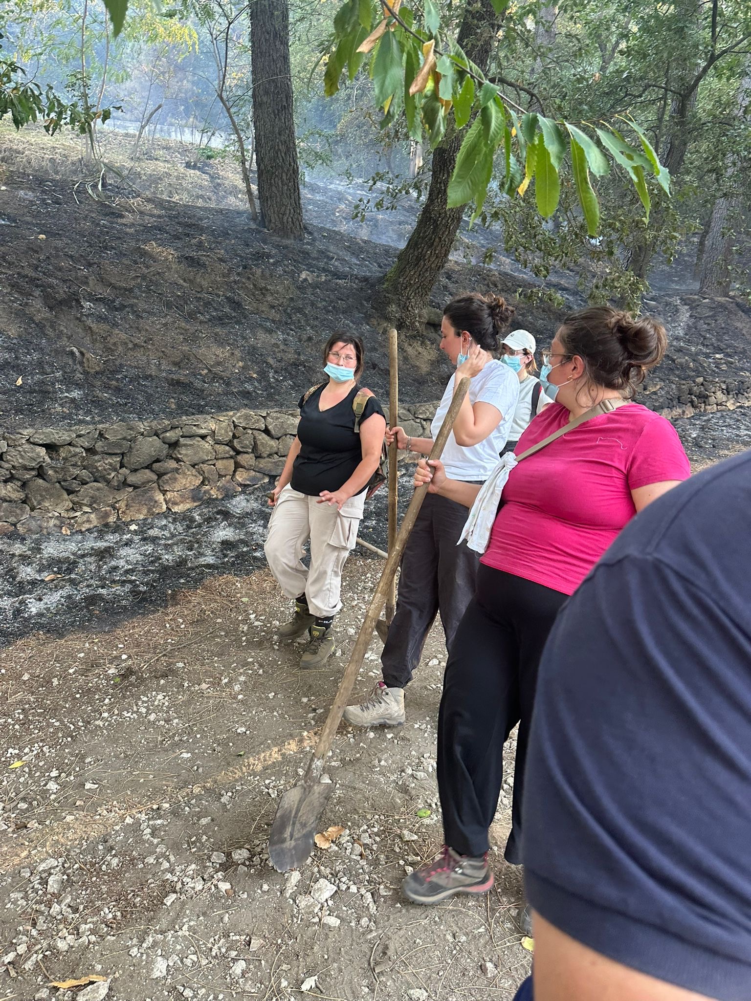 Roccarainola, mobilitazione dei giovani per salvare il vivaio e fermare le fiamme. Foto
